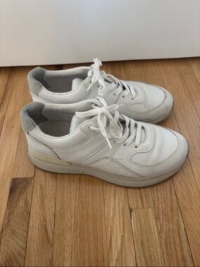 Everlane White Leather Sneakers